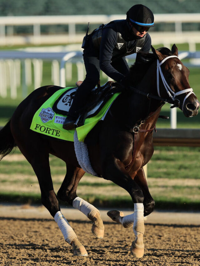 Kentucky Derby Favorite Forte Scratched from Race Due to Injury