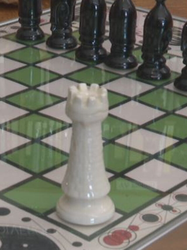  Hannibal Free Public Library's Annual Chess Tournament